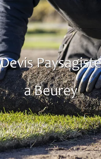 Devis Paysagiste a Beurey