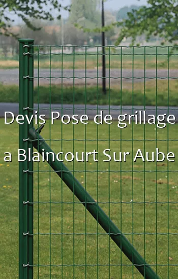 Devis Pose de grillage a Blaincourt Sur Aube