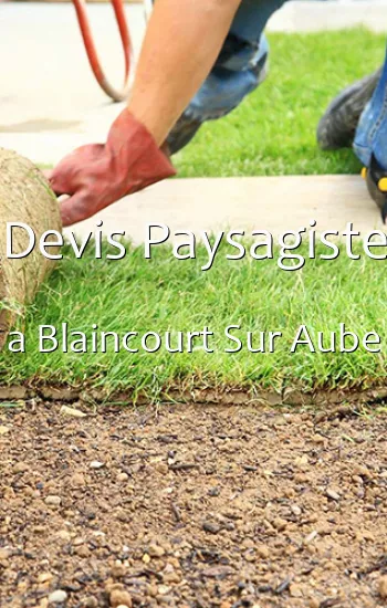 Devis Paysagiste a Blaincourt Sur Aube