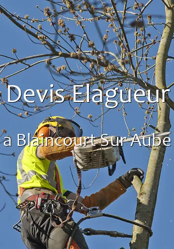 Devis Elagueur a Blaincourt Sur Aube