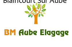 elagage-bm-elagueur