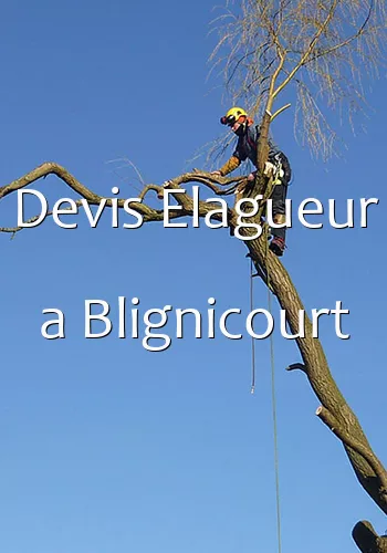 Devis Elagueur a Blignicourt