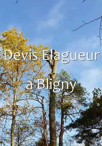 Devis Elagueur a Bligny