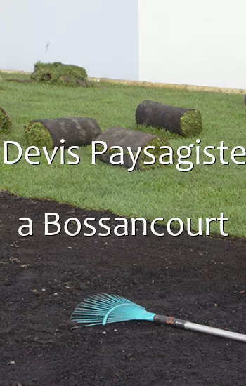 Devis Paysagiste a Bossancourt