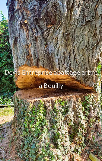 Devis Entreprise abattage arbre a Bouilly