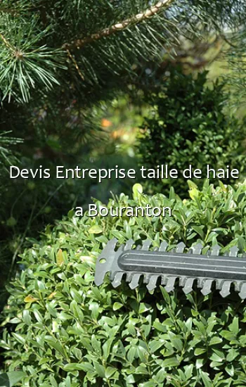 Devis Entreprise taille de haie a Bouranton