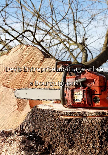 Devis Entreprise abattage arbre a Bourguignons