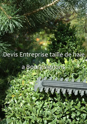 Devis Entreprise taille de haie a Bourguignons