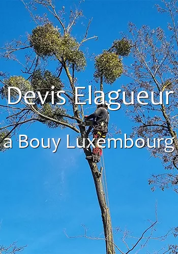 Devis Elagueur a Bouy Luxembourg