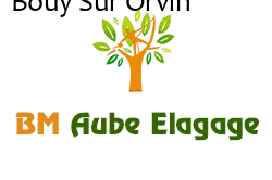 elagage-bm-elagueur