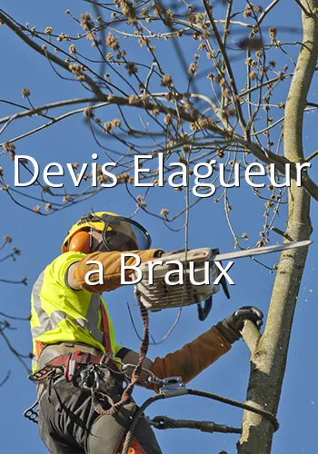 Devis Elagueur a Braux