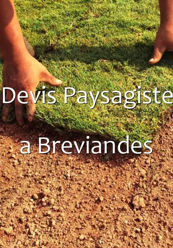 Devis Paysagiste a Breviandes