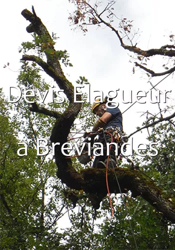 Devis Elagueur a Breviandes