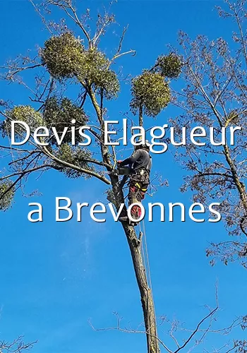 Devis Elagueur a Brevonnes