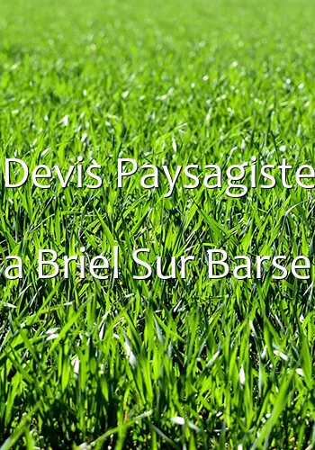 Devis Paysagiste a Briel Sur Barse