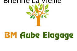 elagage-bm-elagueur