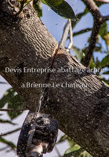 Devis Entreprise abattage arbre a Brienne Le Chateau