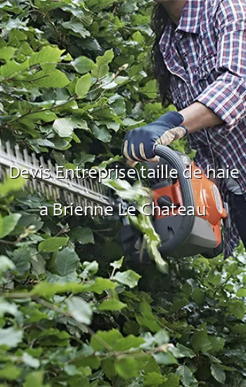 Devis Entreprise taille de haie a Brienne Le Chateau