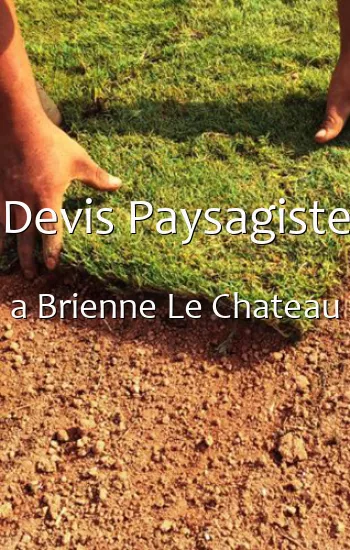 Devis Paysagiste a Brienne Le Chateau