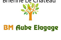 elagage-bm-elagueur