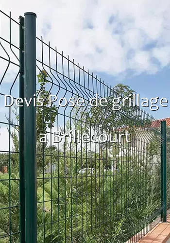 Devis Pose de grillage a Brillecourt