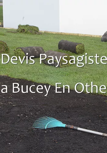 Devis Paysagiste a Bucey En Othe