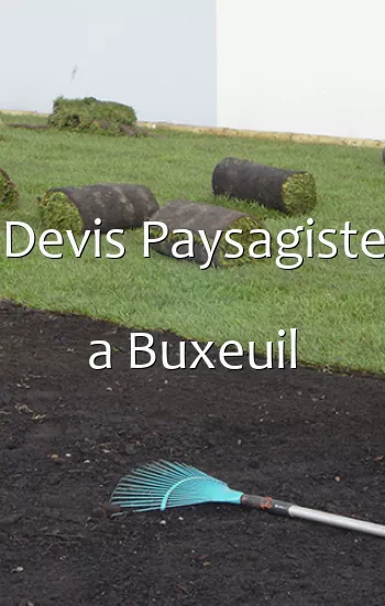 Devis Paysagiste a Buxeuil