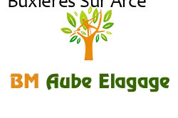 elagage-bm-elagueur