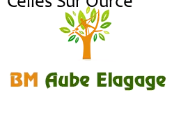 elagage-bm-elagueur