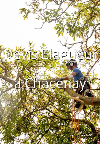 Devis Elagueur a Chacenay