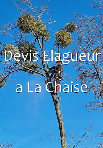 Devis Elagueur a La Chaise