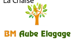 elagage-bm-elagueur