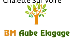 elagage-bm-elagueur