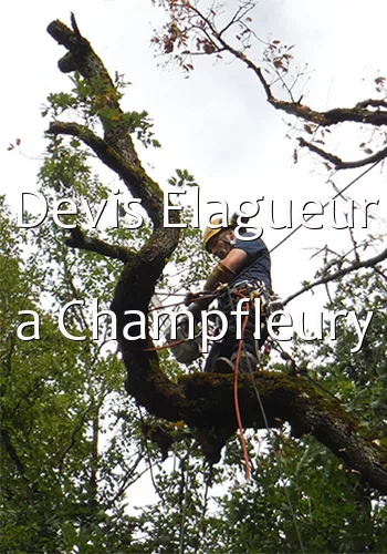 Devis Elagueur a Champfleury