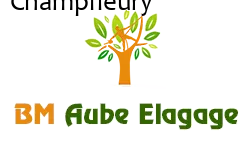 elagage-bm-elagueur