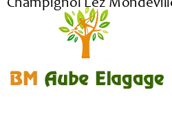 elagage-bm-elagueur