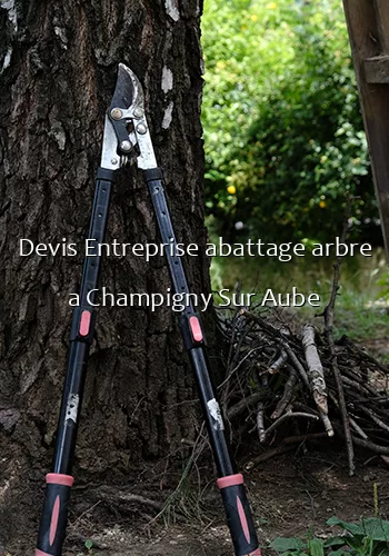 Devis Entreprise abattage arbre a Champigny Sur Aube