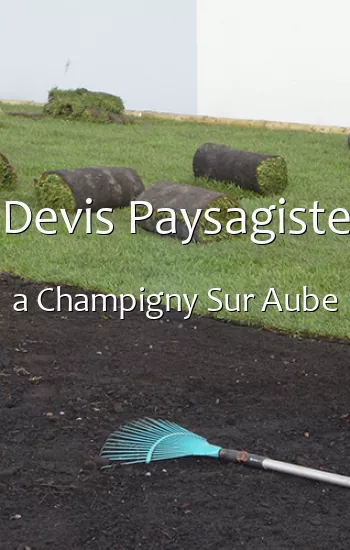 Devis Paysagiste a Champigny Sur Aube