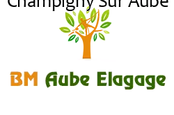 elagage-bm-elagueur