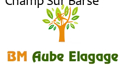 elagage-bm-elagueur