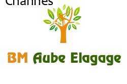 elagage-bm-elagueur