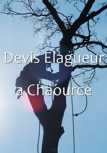 Devis Elagueur a Chaource