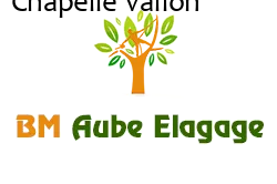 elagage-bm-elagueur