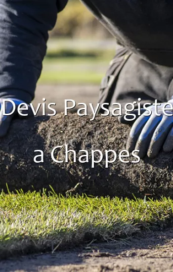 Devis Paysagiste a Chappes