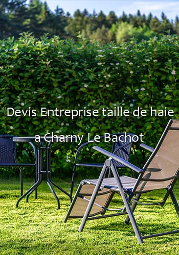 Devis Entreprise taille de haie a Charny Le Bachot