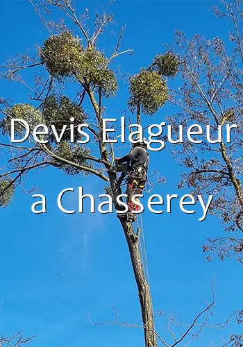 Devis Elagueur a Chasserey