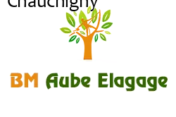 elagage-bm-elagueur