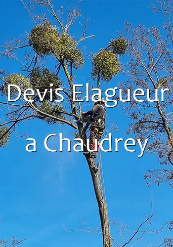 Devis Elagueur a Chaudrey