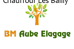 elagage-bm-elagueur