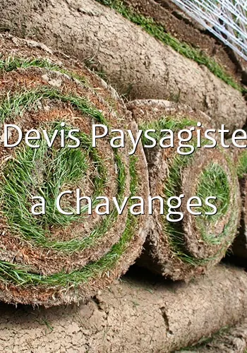 Devis Paysagiste a Chavanges